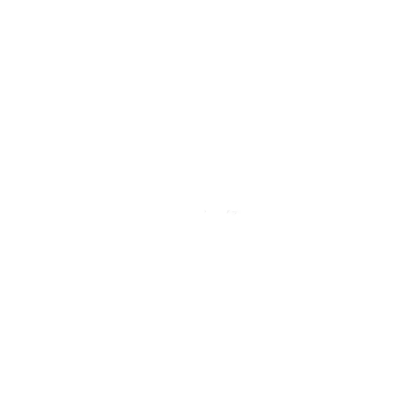 Hodders Window Cleaning logo in all white